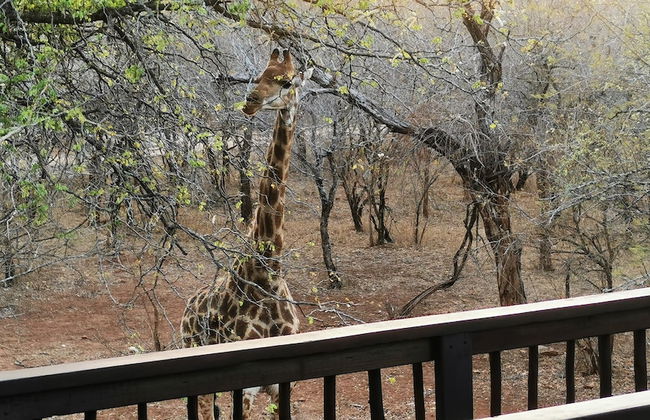 Kruger Kumba - Mugwenzi - Photo 53