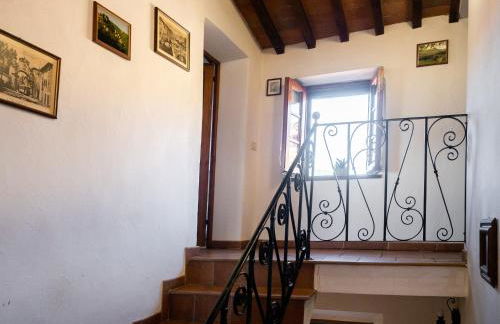 Aramo Verde - Foto 12