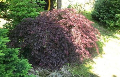 Domki PrzySowie - Góry Sowie - Foto 31