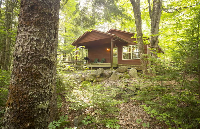 Mersey River Chalets a nature retreat - Foto 50