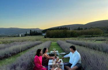 CLAUDIA VACANZA TOSCANA - Appartamento Melograno -10 min da Siena - Foto 4