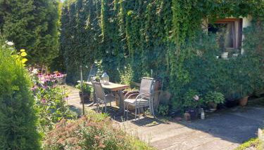 Ogród Pałacowy - Foto 2, Garden view