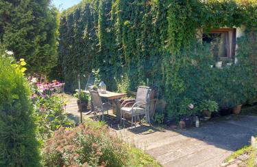 Ogród Pałacowy - Foto 2