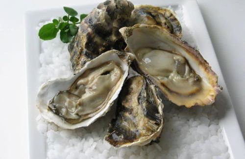 Maison de la Mer - Foto 7