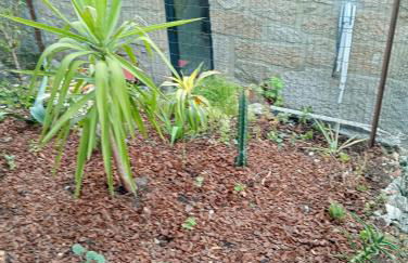 Casa da Fraga - Foto 16