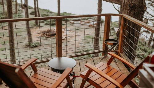 Treehouse-Small Eagles Perch over the water - Foto 5