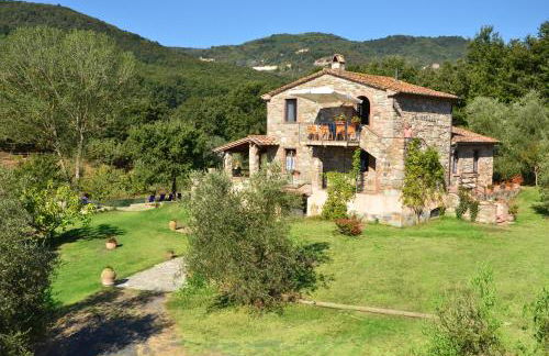 Podere Stollo - Foto 22