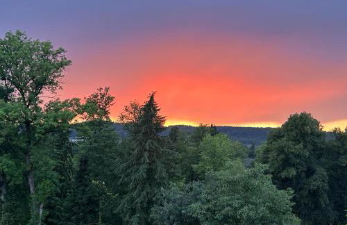 Premium Penthouse Parkblick - Foto 16