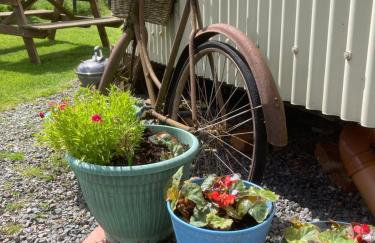 The Shepherds Hut - Foto 2