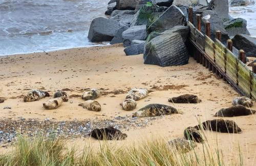 Cobweb Cottage - Foto 22