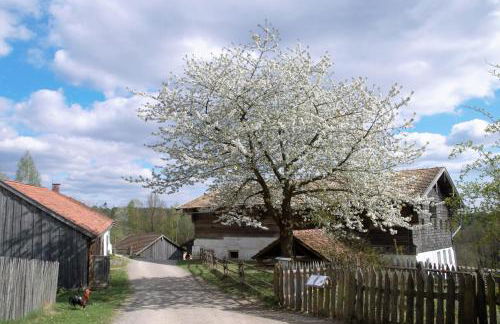 Ferienwohnung Seenglück - Foto 45