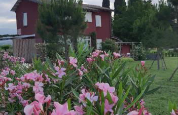 B&B Le Stagioni - Foto 26