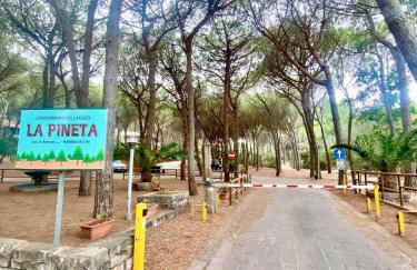 Casa Elisa - Foto 27