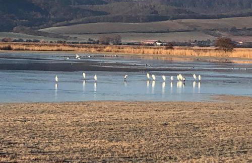 Ferienhaus unterm Schiefen Turm - Photo 53