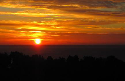 Villa Olivea - Foto 17