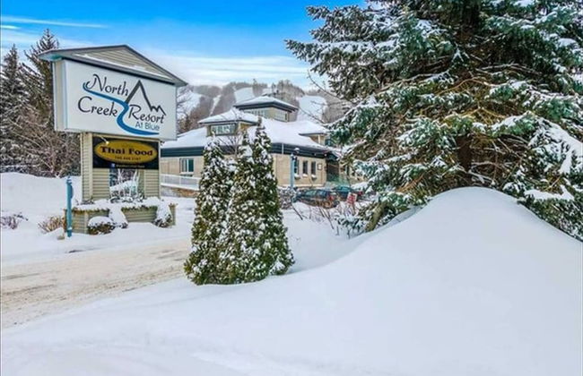 Slope-side Studio Bliss Ski-in Ski-out, Renovated At Blue, Hot Tub, Fast Wi-fi - Foto 35