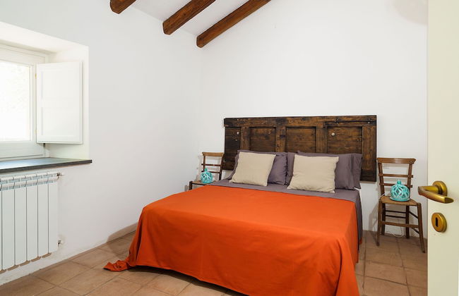 Nerello Mascalese - Foto 2