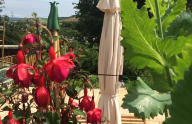 Birchwood Cottage - In the Heart of Wooler - Photo 24