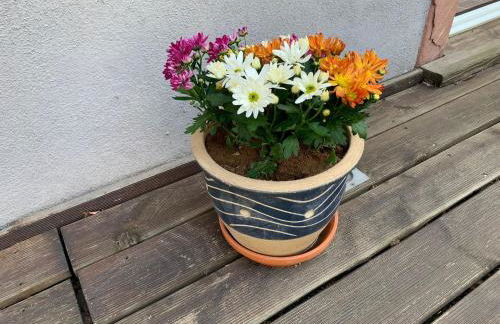 Loftwohnung in einer preisgekrönten Denkmalhofreite - Foto 15