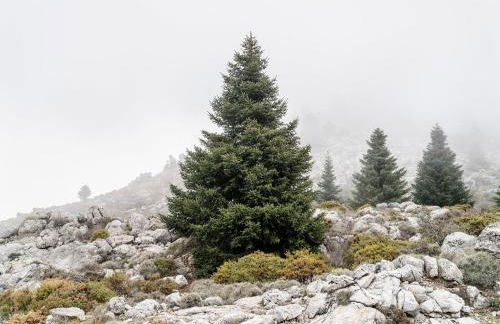 La Churrera casa rural - Foto 35