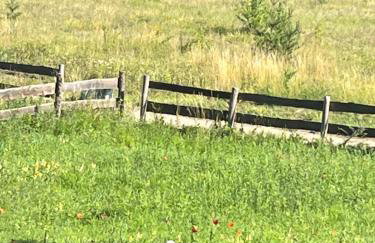 Mazury "Willa Ślimakowo" w Pasymiu - jacuzzi, sauna, pomost, łódka, rower wodny - Photo 47
