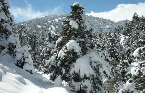 La Churrera casa rural - Foto 34