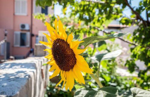 10min Da Bosa Marina - Con Giardino e Parcheggio - Foto 55