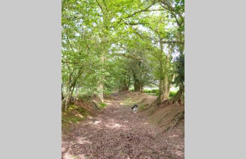 Upper Heath Farm - Stable Cottage Ludlow - Foto 30