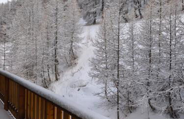 Duplex 6 personne au pied des pistes - Foto 6