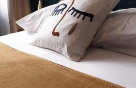 Blue**** Vue exceptionnelle sur le Rhône - Foto 5