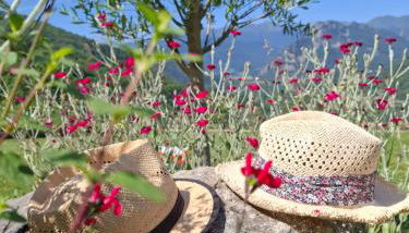 Gite La Grangette de Pauline - Foto 5