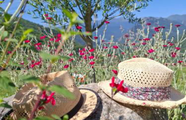 Gite La Grangette de Pauline - Foto 5