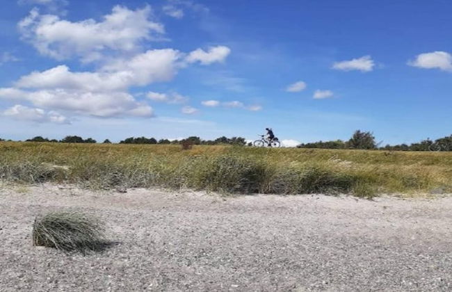 8 Person Holiday Home in Dannemare - Foto 40