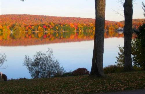 Peaceful Private Cabin on Crystal Lake near Elk Mountain, Pennsylvania - Foto 19