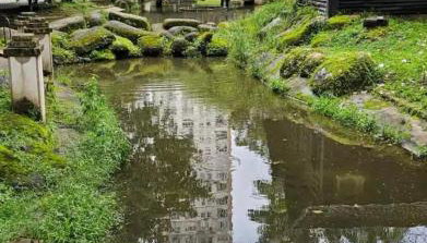 Apart de 2 qtos - Nazaré - Atrás da Basílica de Nazaré - Foto 4