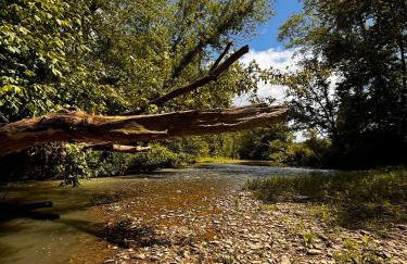 Knob Hill at Three Suns Cabins - Foto 13