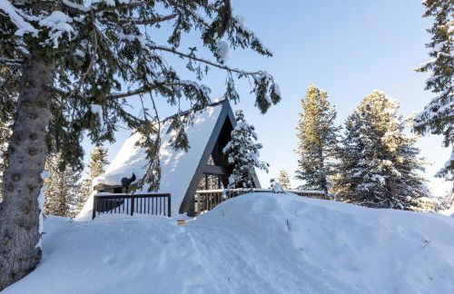 LUXE VISTA Mountain Chalet Cermis - mitten auf der Alm und Skipiste - Foto 38