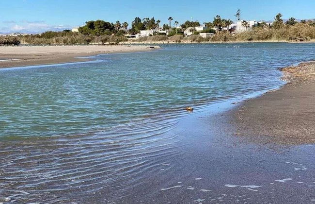 Holiday Home Vera Playa Casa Don Carlo - Foto 25