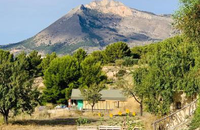 Finca Les Coves - Foto 55