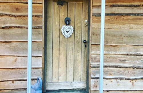 The Cabin at Bragdy - Photo 5