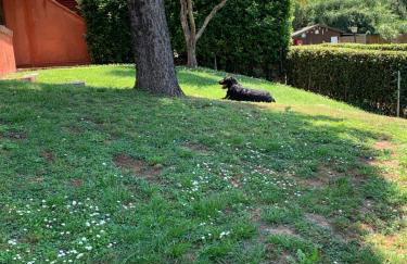 Aurelia Rta Detta il Cascinale - Foto 11