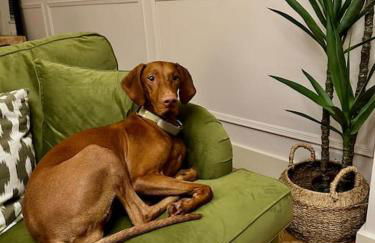 Cottage in Pembroke, Close to beaches - Foto 6