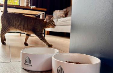 Dobre Kąty całoroczne domki - Foto 45