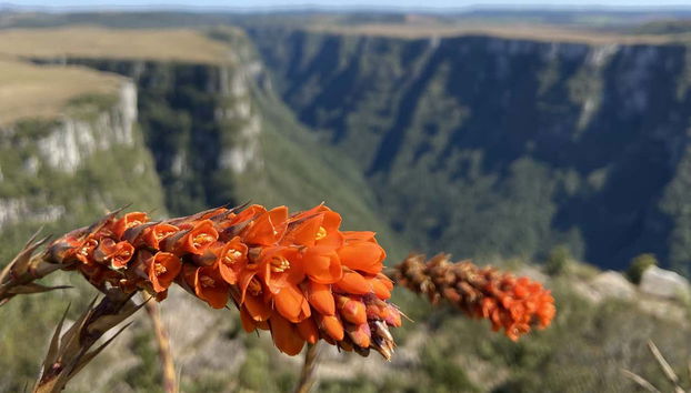 Fortaleza Canyon Bike Tour - Foto 4