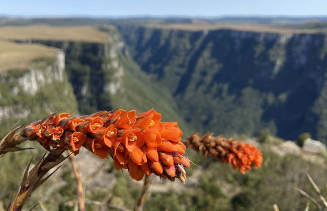 Fortaleza Canyon Bike Tour - Photo 8