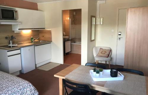 La Féclaz Ski aux pieds Grand Studio Tout confort - Foto 6