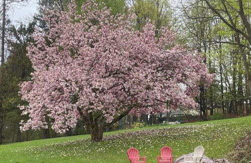 Zen in Narrowsburg Retreat near Town - Foto 64