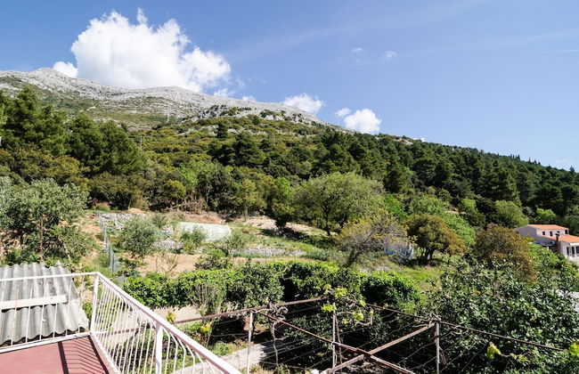 Apartments Šestanović - Foto 46