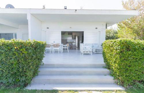 Seashell by halu! - Foto 58