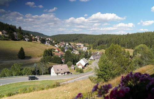 Schwarzwaldblick - Foto 7